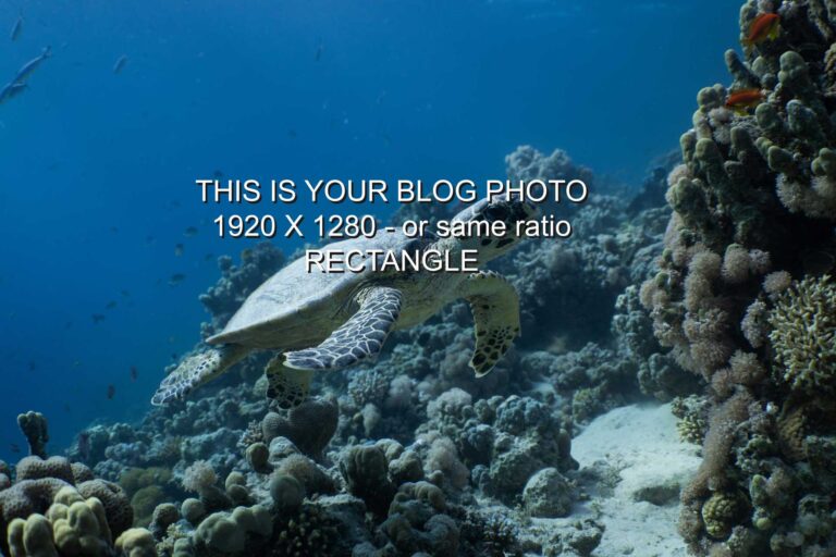 Soap or Purell? Which one works better?